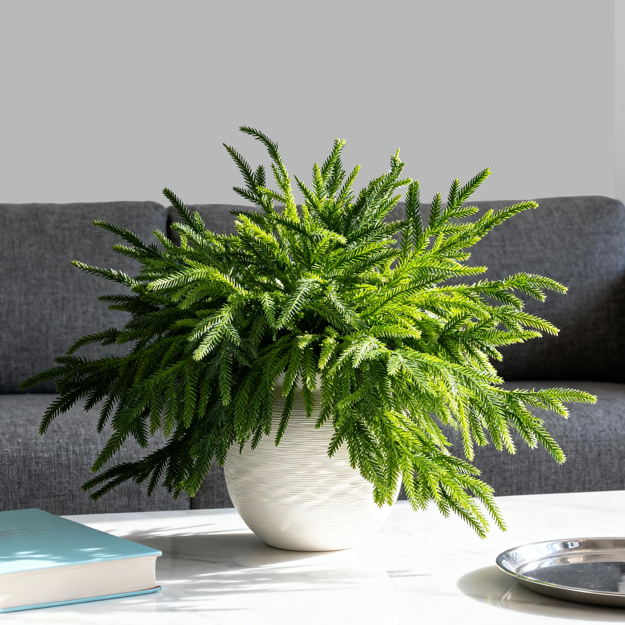 12 Pcs Norfolk Pine Branches, 18" Artificial Norfolk Pine Stems, Realistic Droopy Soft Bendable Pine Stems, Faux Greenery Stem for Vases Cedar Wreath Garland Christmas Home Decor, FF08